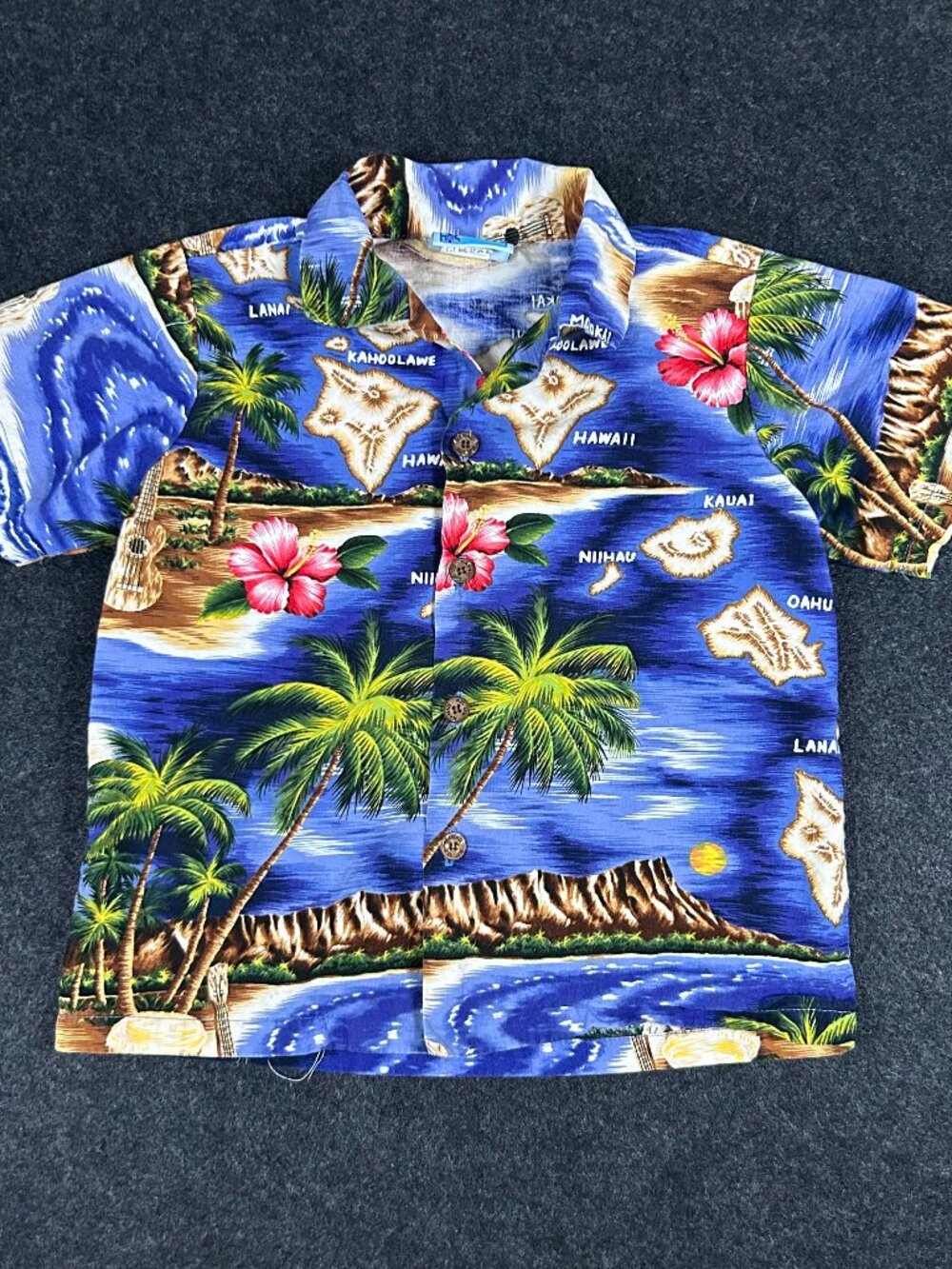 RJC Hawaiian Island Boys Shirt 2T Toddler Tropical Aloha Vacation